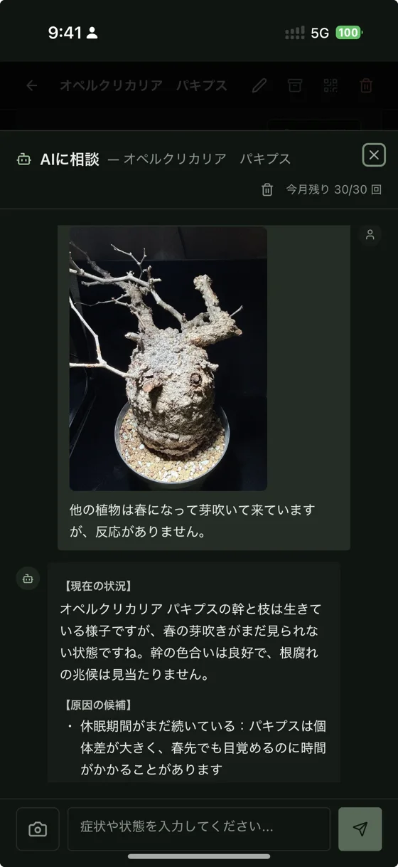 BotaCodex の AI 写真相談画面。オペルクリカリア パキプスの状態を写真で AI に相談している様子