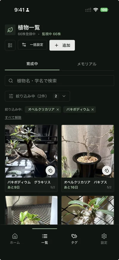BotaCodex の植物一覧画面。66 株登録、品種フィルタと検索で絞り込み可能